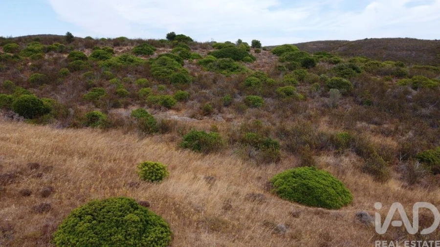Terreno para Venda em Budens Foto 24