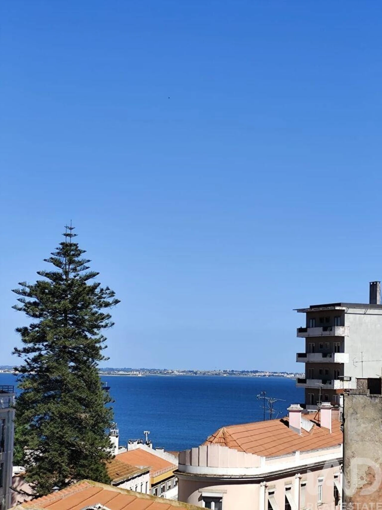 Apartamento T2 para Venda em São Vicente Foto 19