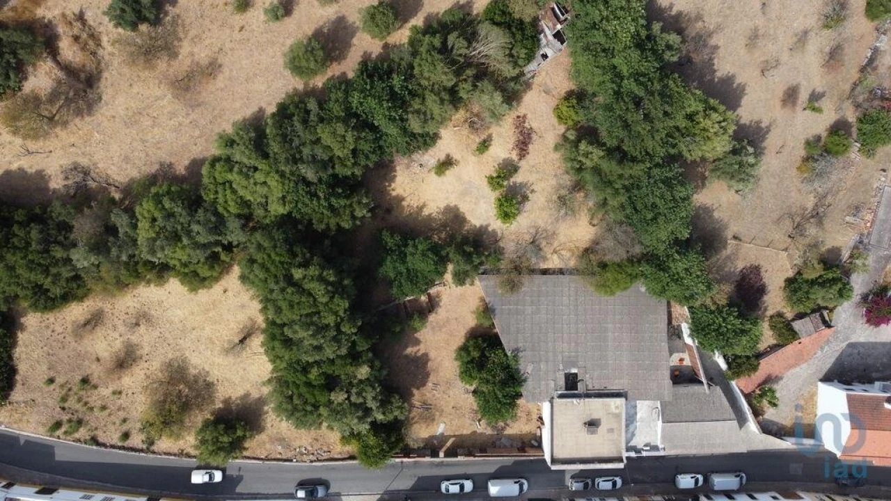 Terreno para Venda em Salir Foto 3