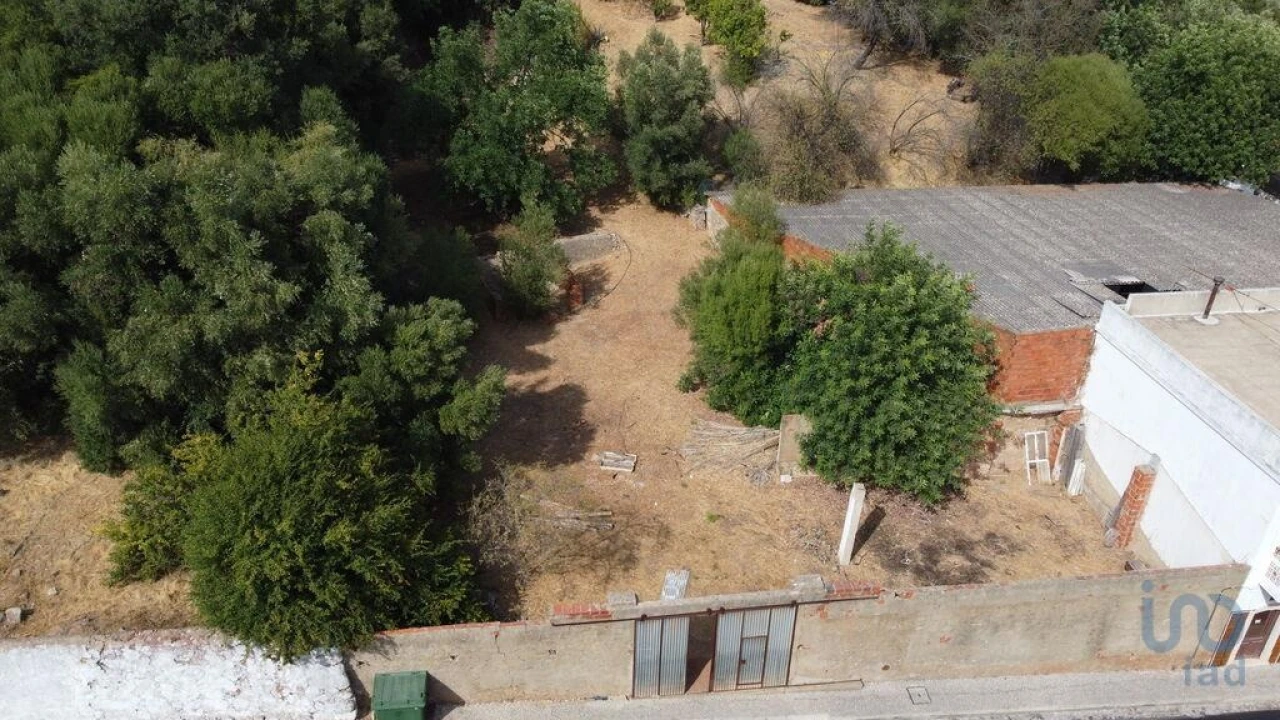 Terreno para Venda em Salir Foto 8