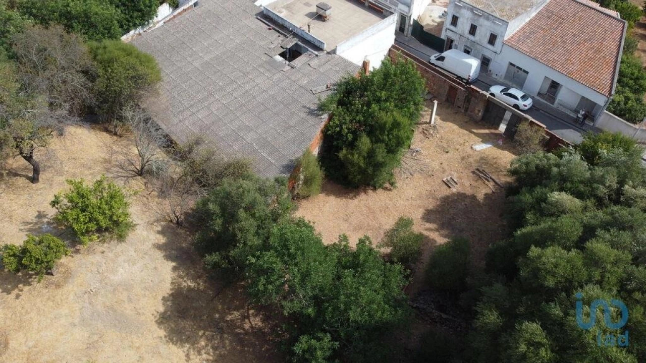 Terreno para Venda em Salir Foto 14