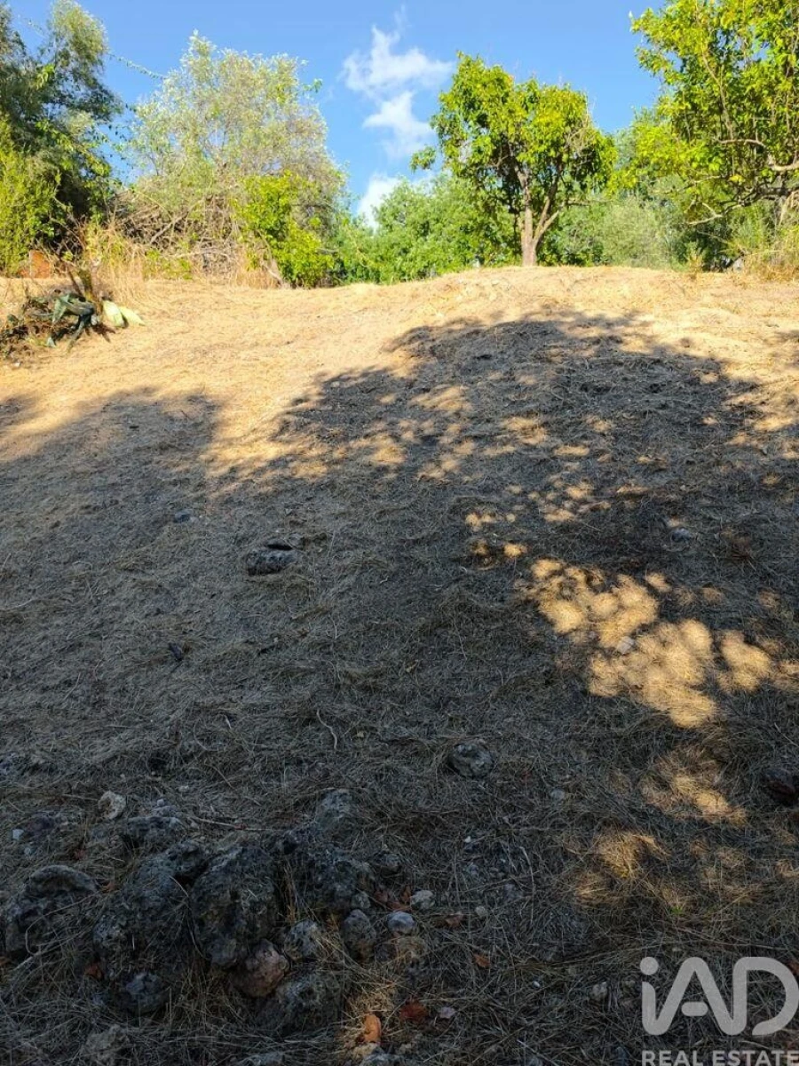 Terreno para Venda em Salir Foto 16