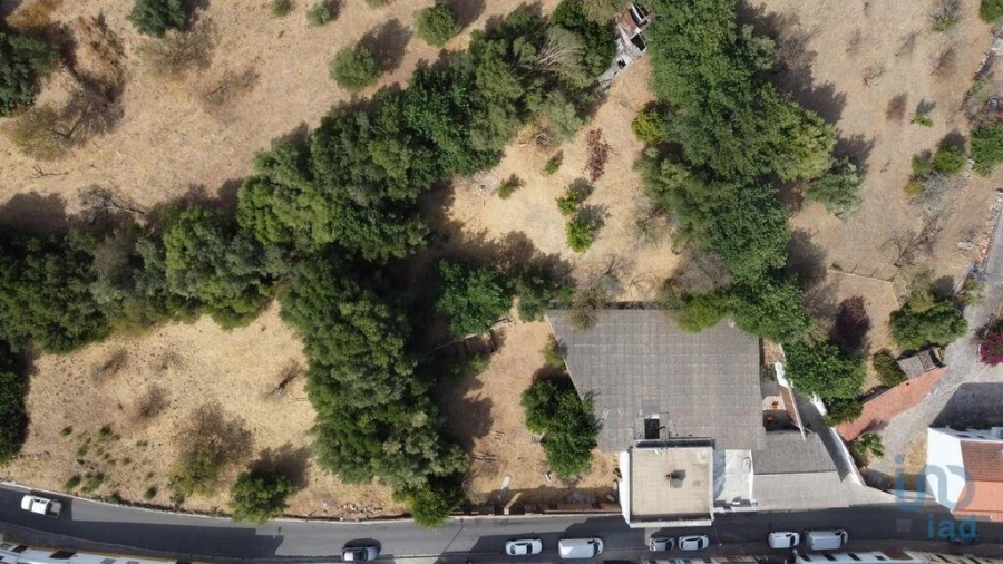 Terreno para Venda em Salir Foto 2