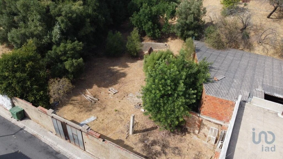 Terreno para Venda em Salir Foto 11