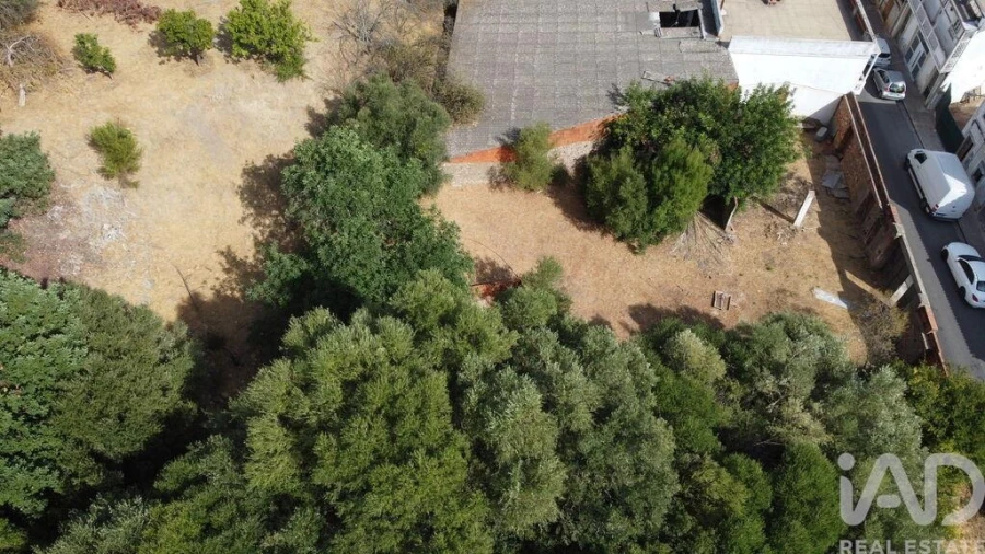 Terreno para Venda em Salir Foto 15