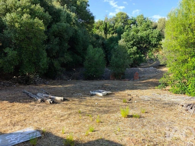 Terreno para Venda em Salir Foto 18