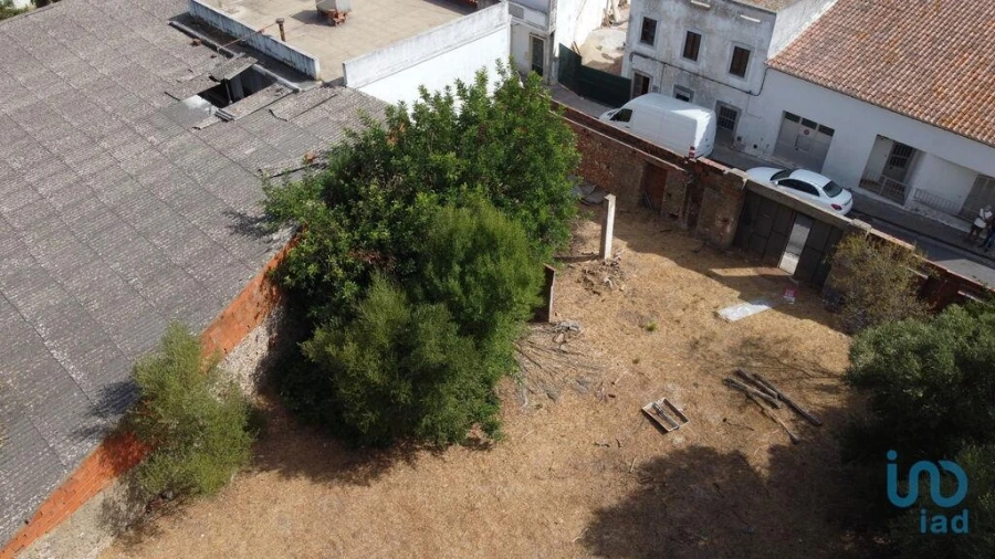 Terreno para Venda em Salir Foto 12