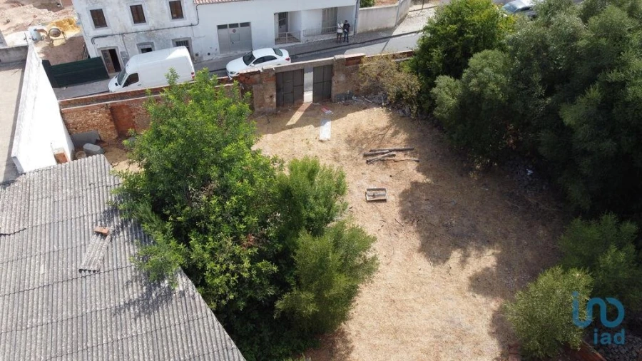 Terreno para Venda em Salir Foto 10