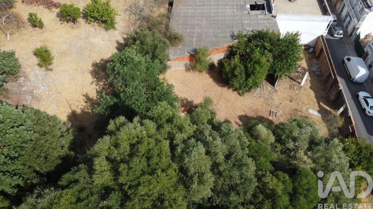 Terreno para Venda em Salir Foto 15