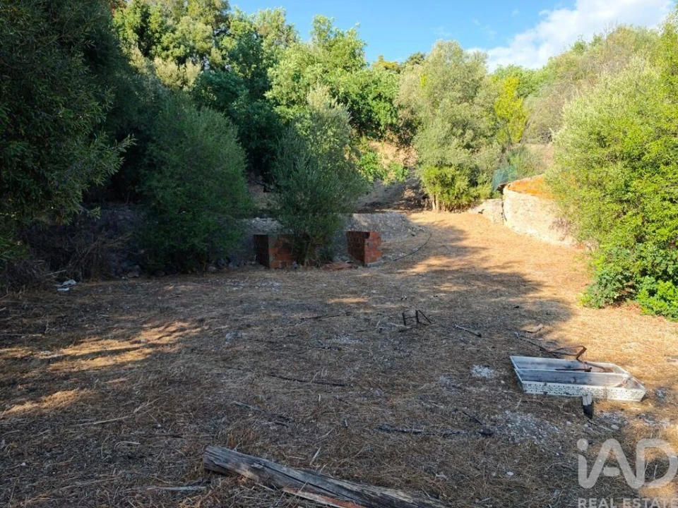 Terreno para Venda em Salir Foto 17