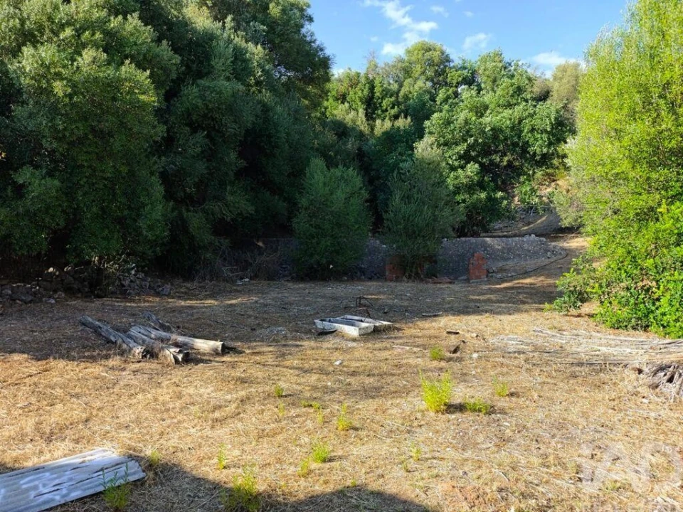 Terreno para Venda em Salir Foto 18