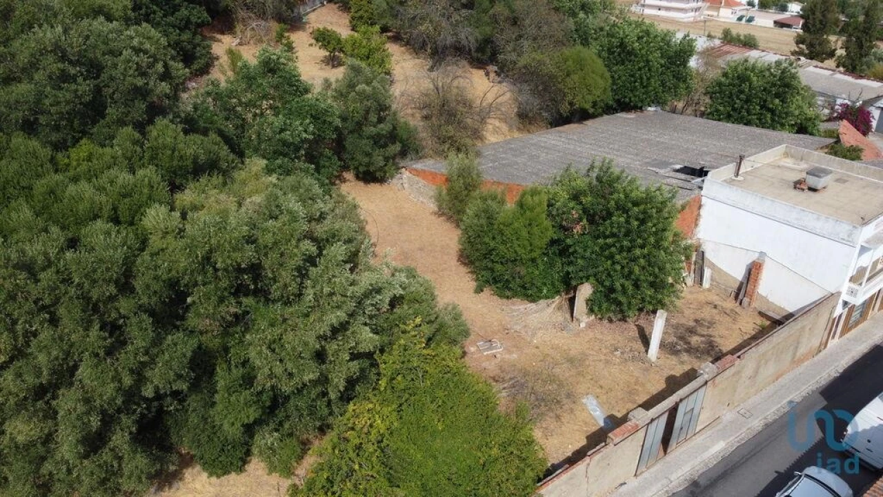 Terreno para Venda em Salir Foto 7