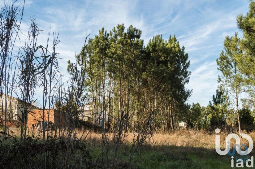 Terreno para Venda em Marinha Grande Foto 2