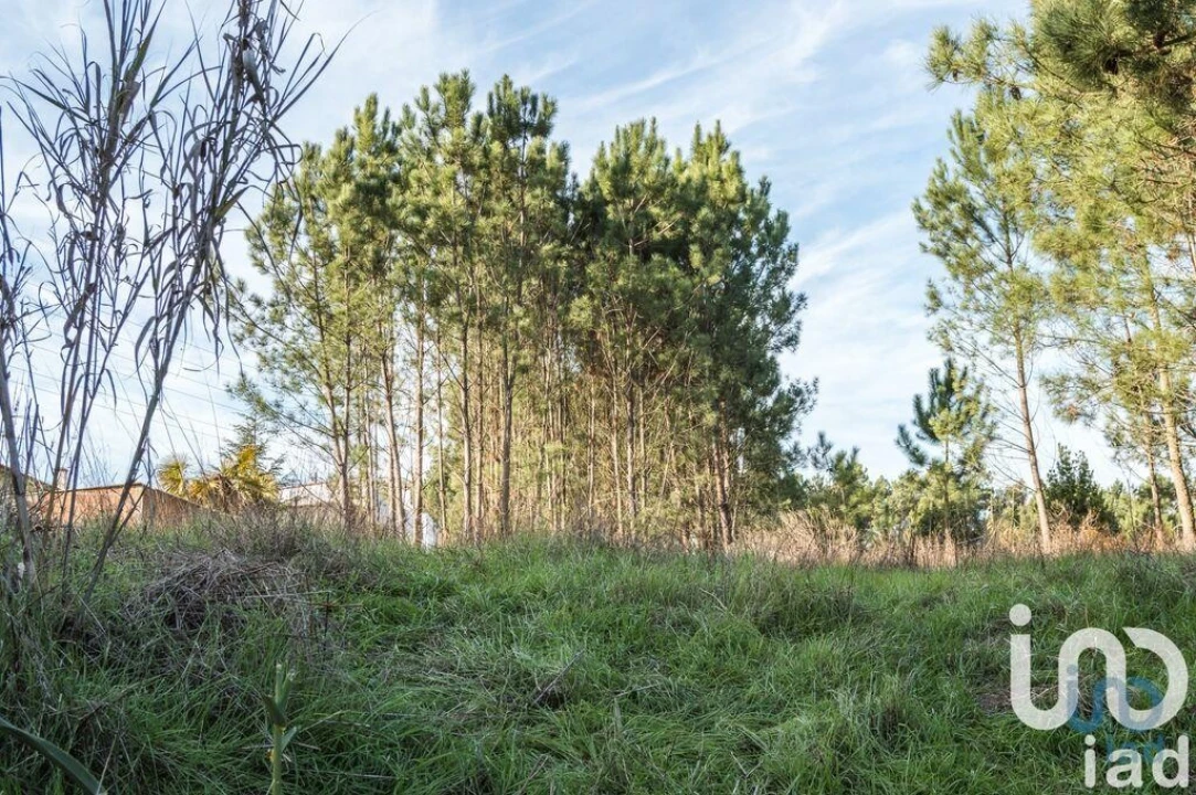 Terreno para Venda em Marinha Grande Foto 1