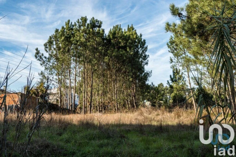 Terreno para Venda em Marinha Grande Foto 2