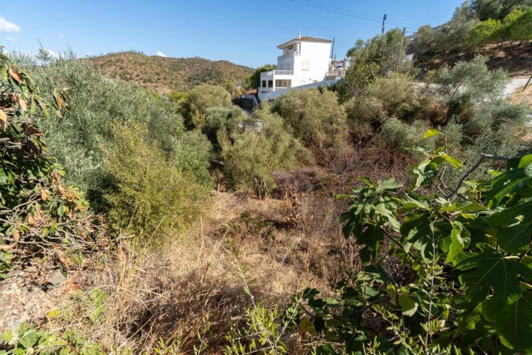 Terreno para Venda em Alcoutim e Pereiro Foto 24