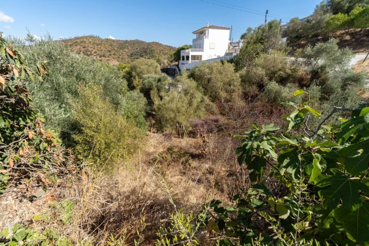 Terreno para Venda em Alcoutim e Pereiro Foto 23