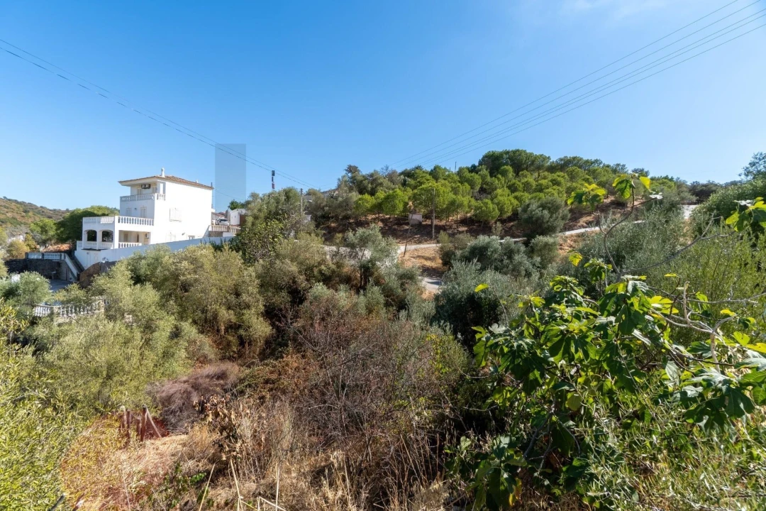 Terreno para Venda em Alcoutim e Pereiro Foto 22