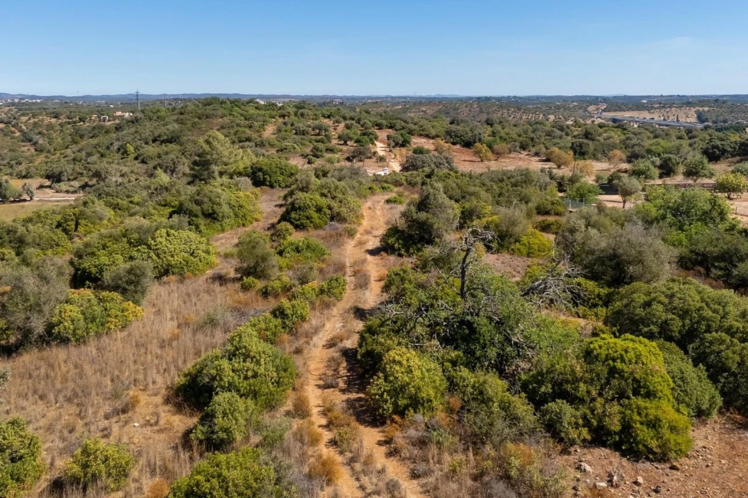 Terreno para Venda em Mexilhoeira Grande Foto 13
