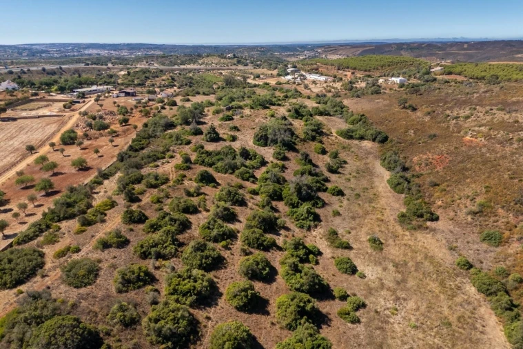 Terreno para Venda em Mexilhoeira Grande Foto 19