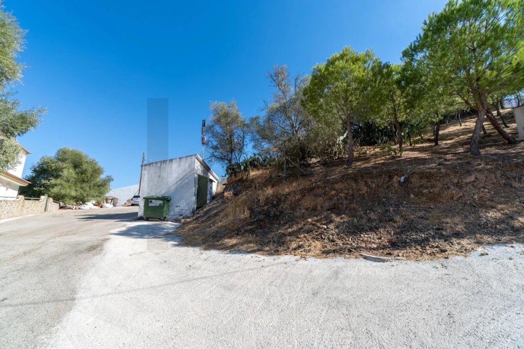 Terreno para Venda em Alcoutim e Pereiro Foto 9