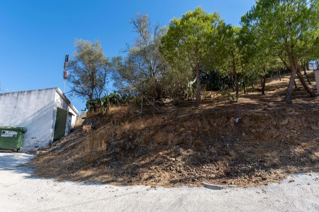 Terreno para Venda em Alcoutim e Pereiro Foto 6