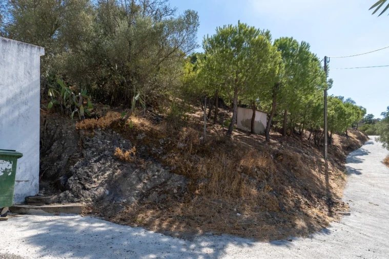 Terreno para Venda em Alcoutim e Pereiro Foto 5