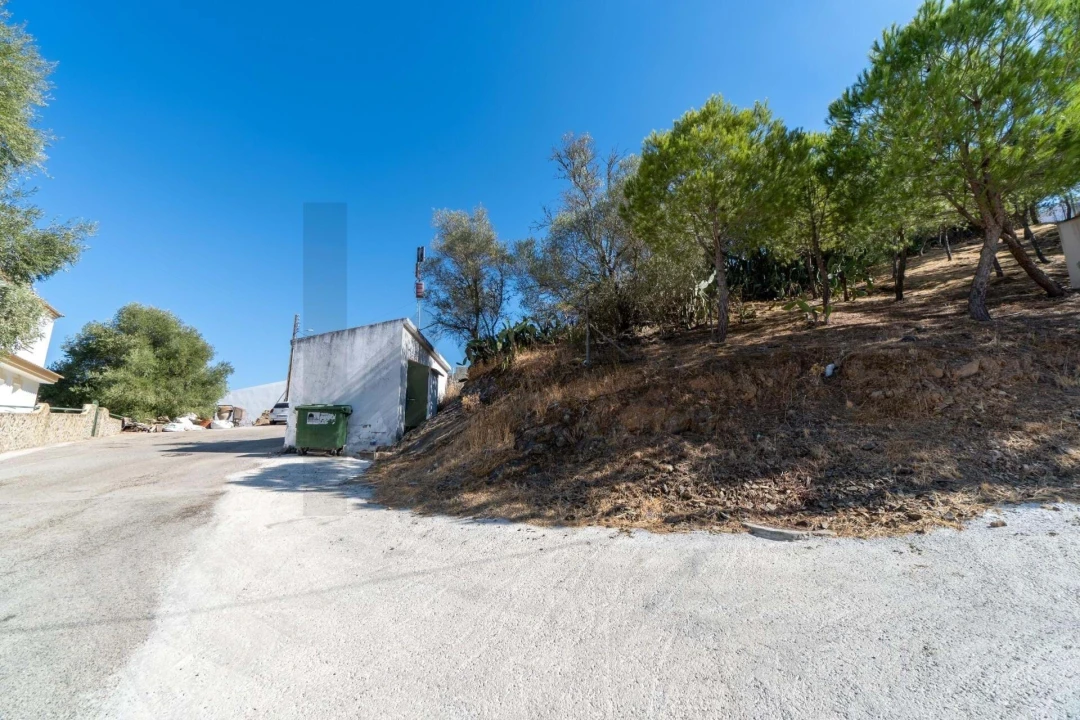 Terreno para Venda em Alcoutim e Pereiro Foto 4