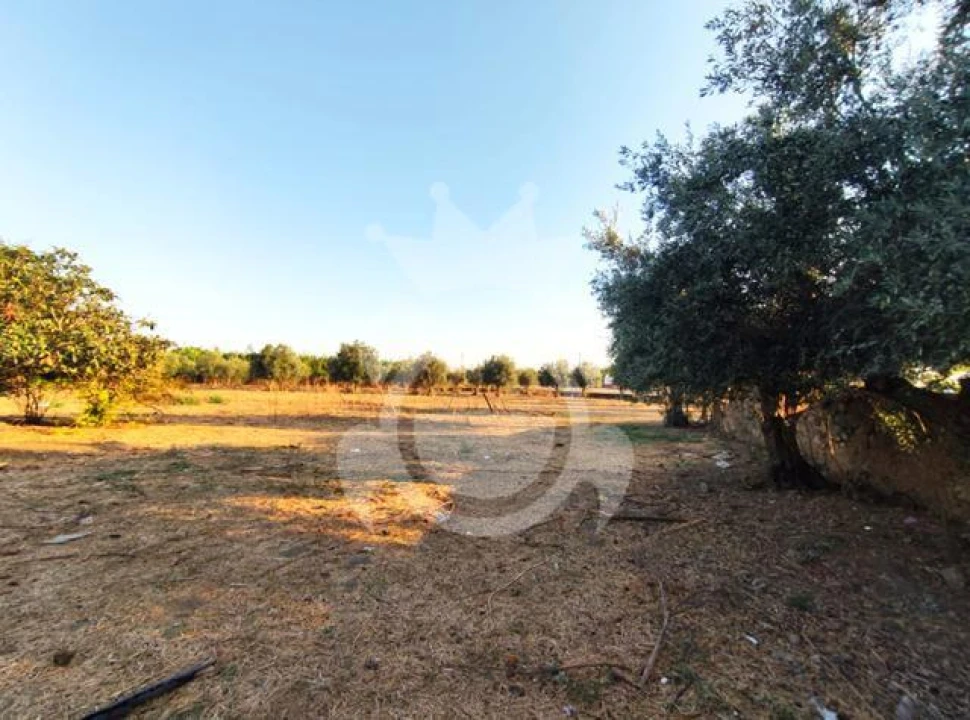 Quinta T2 para Venda em Reguengos de Monsaraz Foto 10