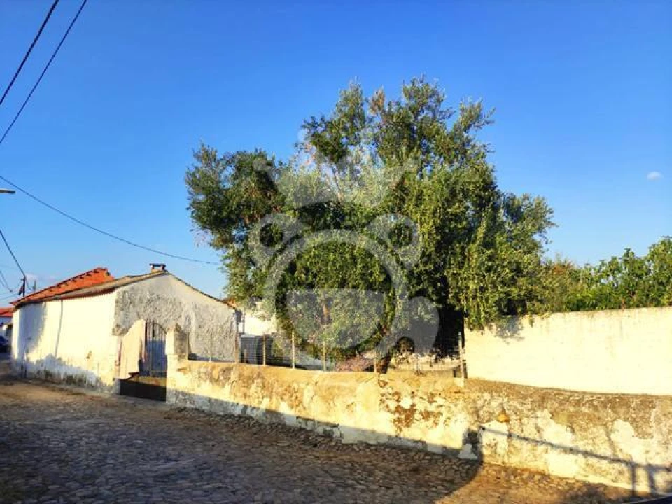 Quinta T2 para Venda em Reguengos de Monsaraz Foto 3
