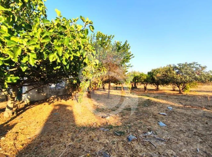 Quinta T2 para Venda em Reguengos de Monsaraz Foto 9