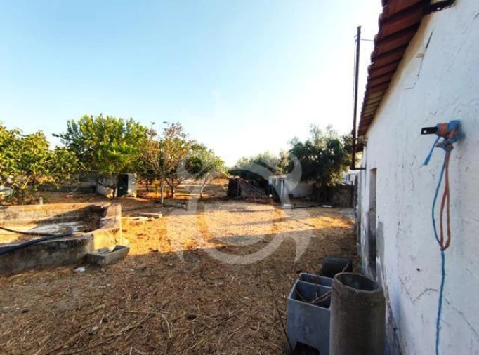 Quinta T2 para Venda em Reguengos de Monsaraz Foto 8