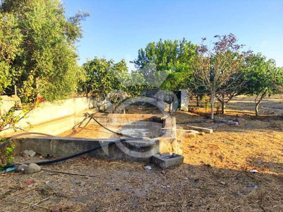 Quinta T2 para Venda em Reguengos de Monsaraz Foto 7