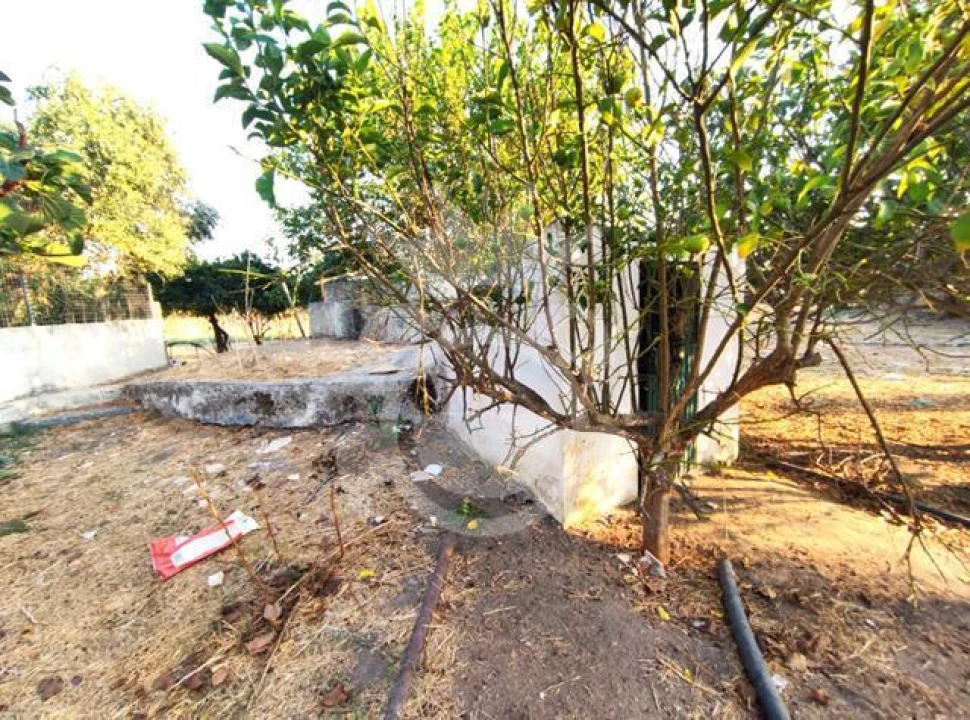 Quinta T2 para Venda em Reguengos de Monsaraz Foto 11