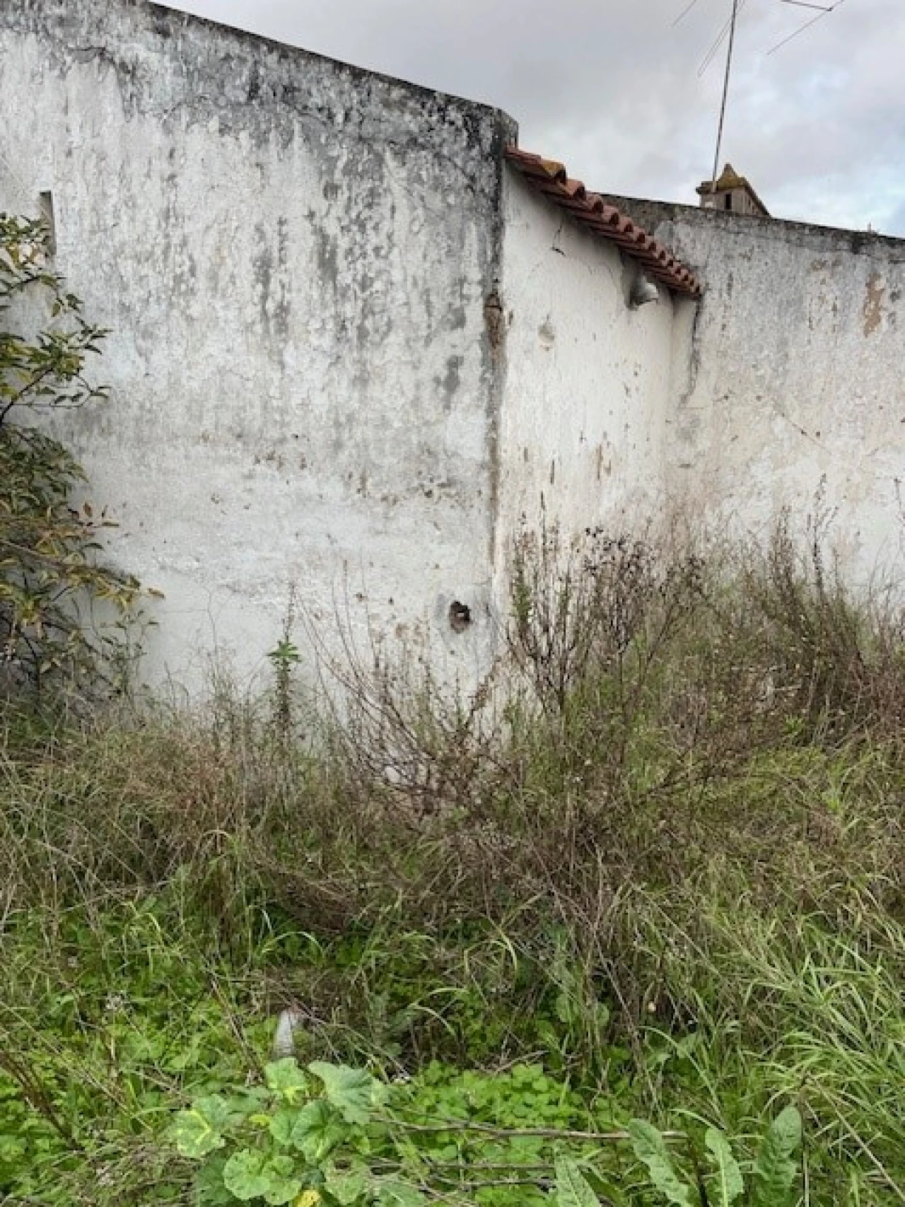 Moradia T2 para Venda em Ponte de Sor, Tramaga e Vale de Açor Foto 9