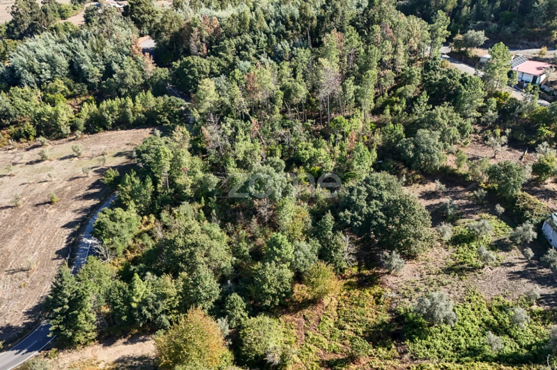 Terreno para Venda em Folques Foto 7