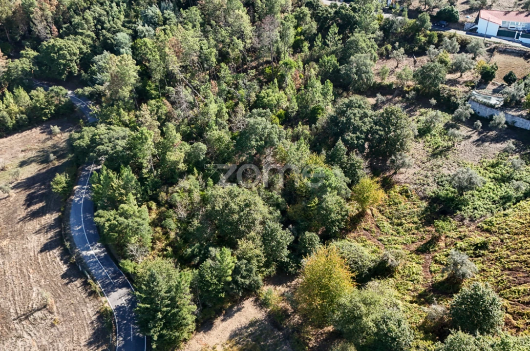 Terreno para Venda em Folques Foto 8