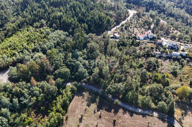 Terreno para Venda em Folques Foto 10