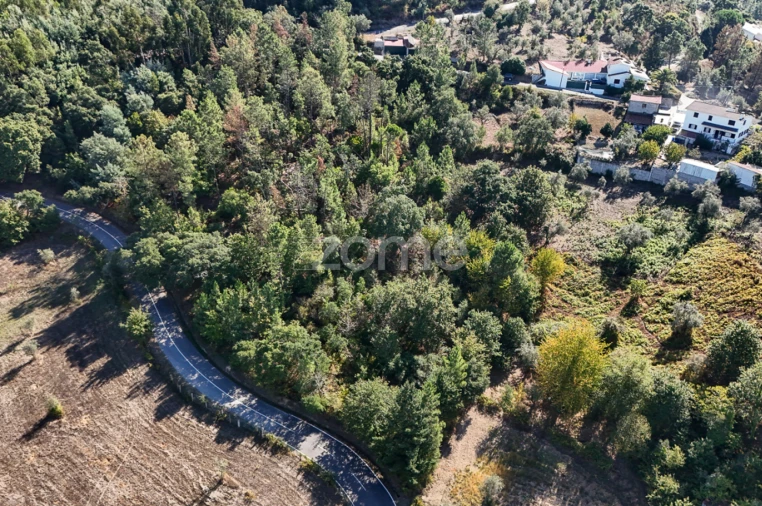 Terreno para Venda em Folques
