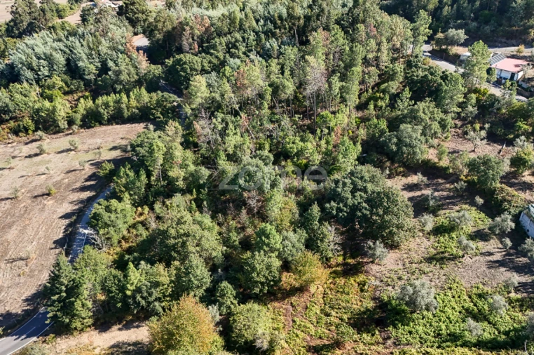 Terreno para Venda em Folques Foto 7