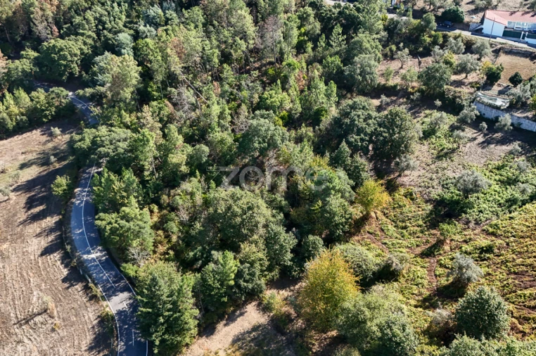 Terreno para Venda em Folques Foto 8