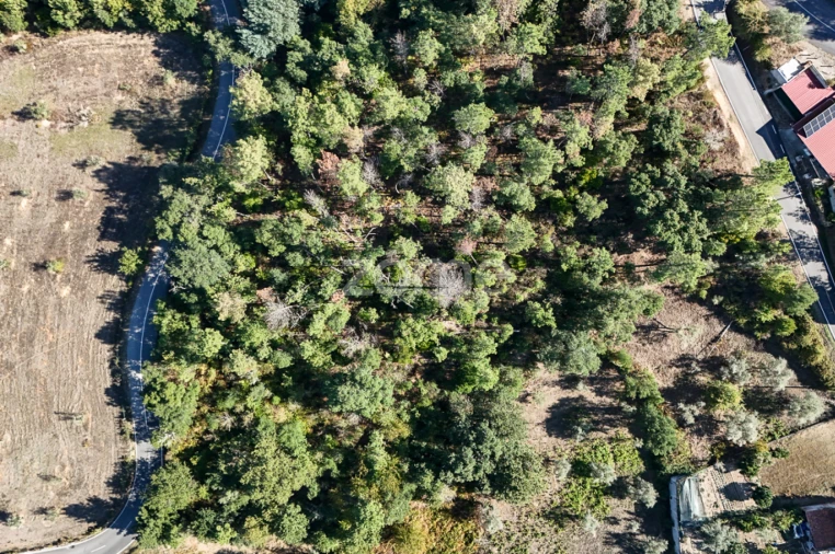 Terreno para Venda em Folques Foto 9