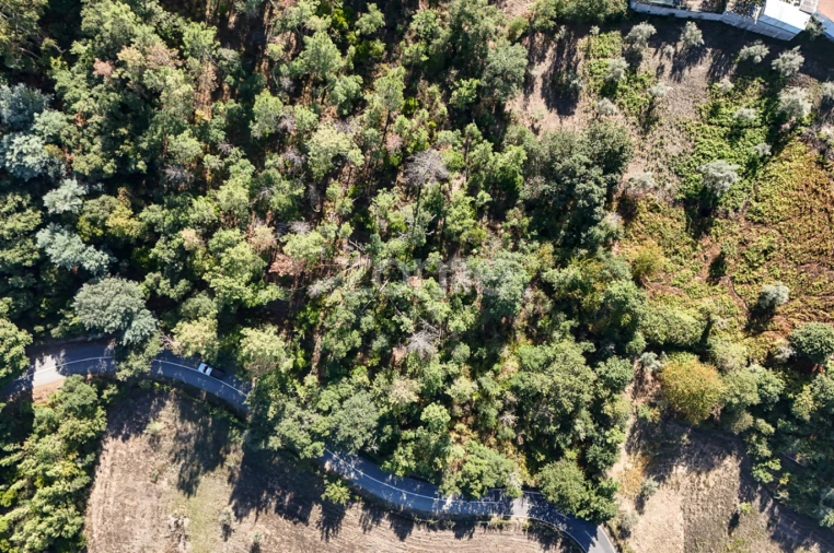 Terreno para Venda em Folques Foto 3