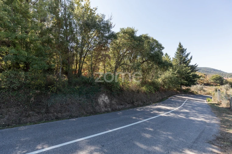 Terreno para Venda em Folques Foto 12