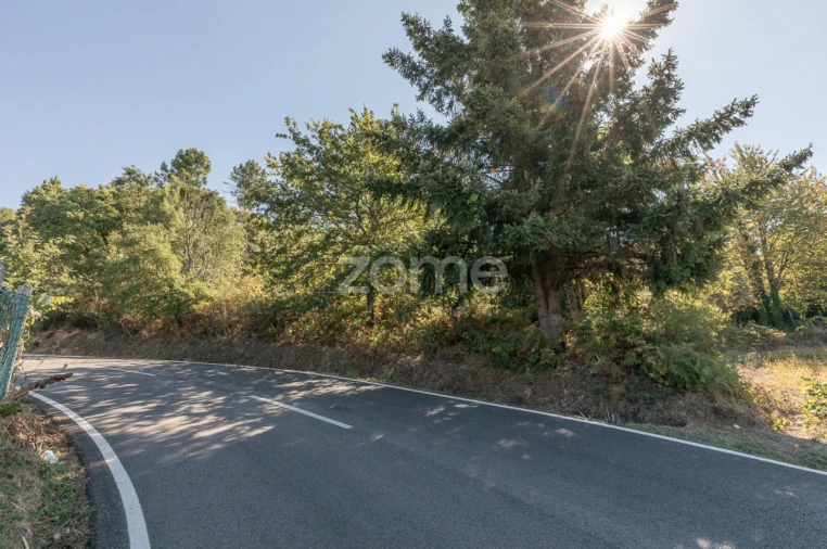 Terreno para Venda em Folques Foto 11