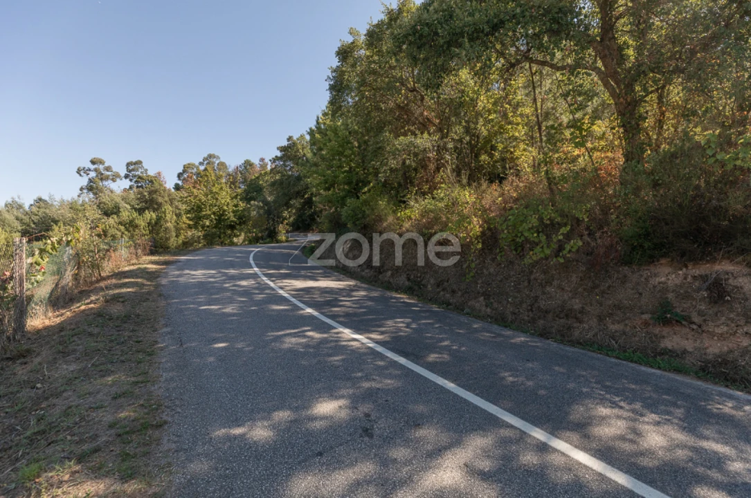 Terreno para Venda em Folques Foto 13