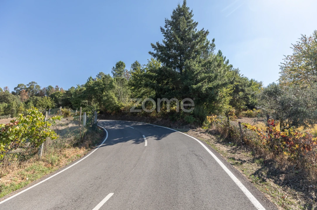 Terreno para Venda em Folques Foto 1