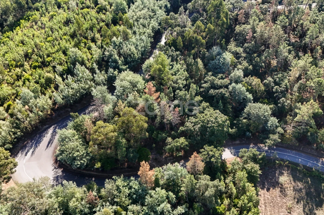Terreno para Venda em Folques Foto 1