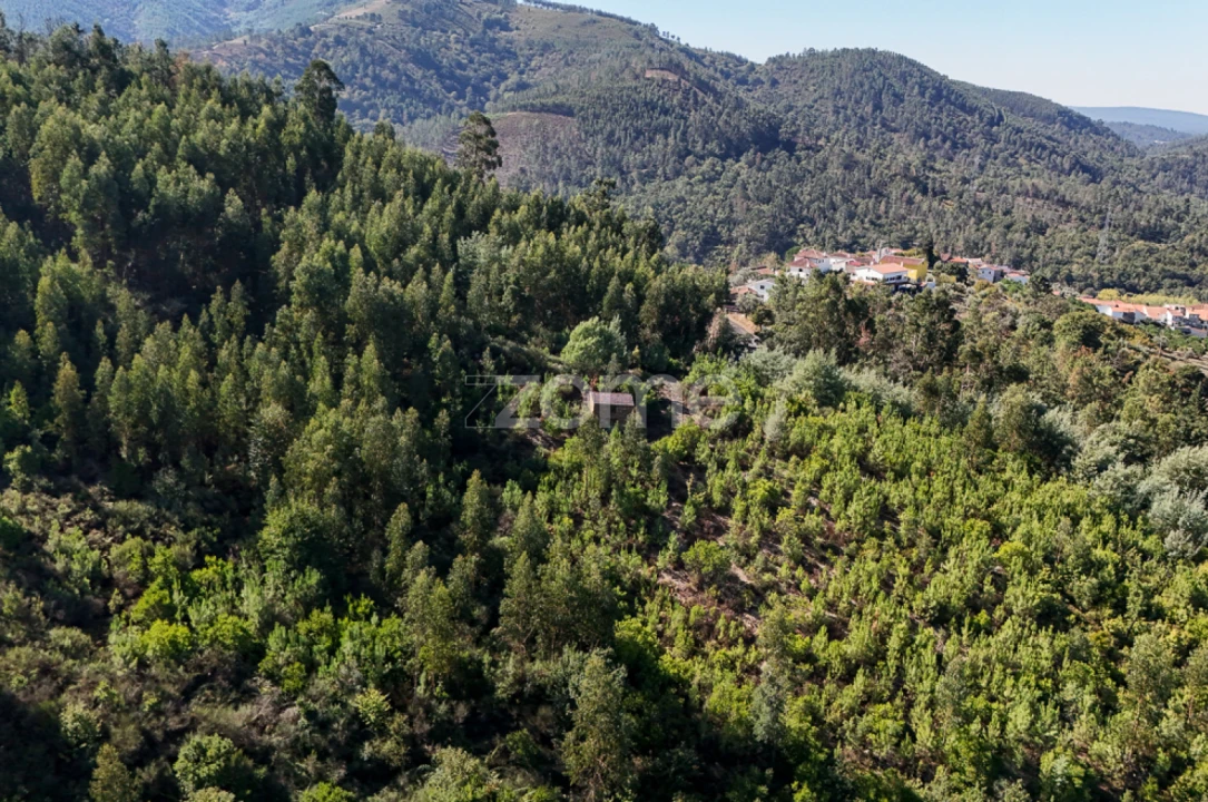 Terreno para Venda em Folques Foto 8