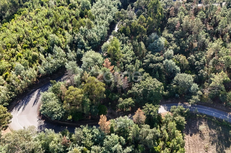 Terreno para Venda em Folques Foto 3